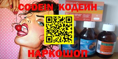 дмт Кингисепп