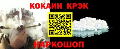 дмт Кингисепп