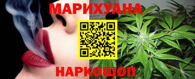 дмт Кингисепп