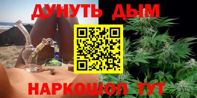 дмт Кингисепп