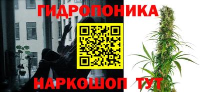 крисы Кимры
