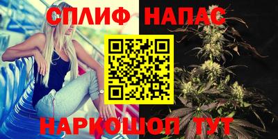 тгк Кандалакша