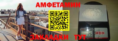 дмт Кингисепп